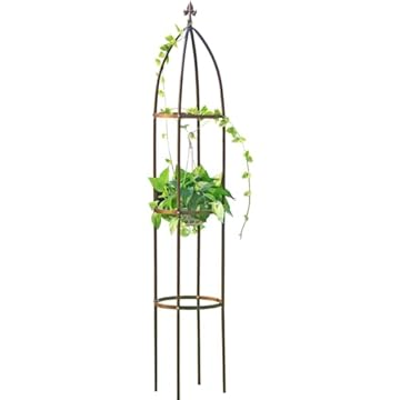 copper trellis for climbing plants