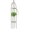 100 Metal Obelisk Garden Trellis 63 Feet Tall Sturdy Plant Support for Climbing Vines and Flowers Stands1pc Upgrade