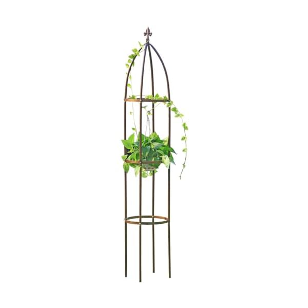 100 metal obelisk garden trellis 63 feet tall sturdy plant support for climbing vines and flowers stands1pc upgrade  urban country home decor