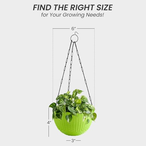 Image of YUCCABE ITALIA SHERA URO-Basket Plastic Flower Pot with Drainage Holes Round Planter Pot Suitable for Inddor Outdoor Kitchen (Green, 6 INCH - 6 Pcs)