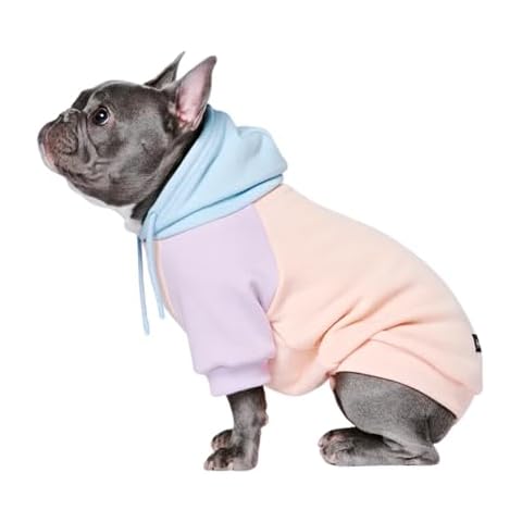 Sweat à Capuche Spark Paws Cover