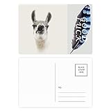 Disdain Alpaca Orejas Pout Art Deco Fashion Lucky Plumas Postal Set Tarjeta de agradecimiento, 20 piezas