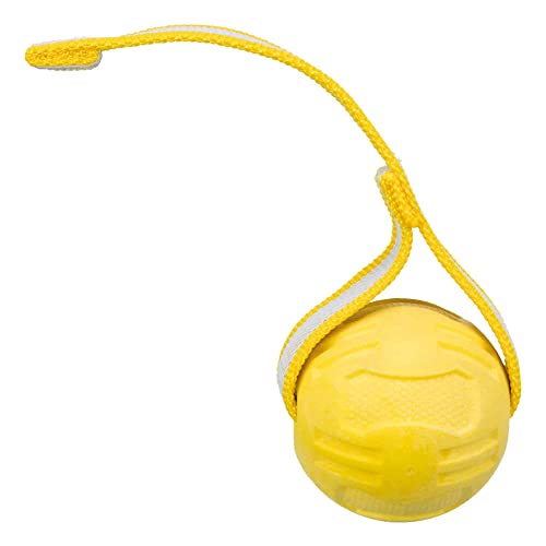 Trixie Sporting Ball mit Seil, TPR-Gummi, Ø 6 cm, 20 cm