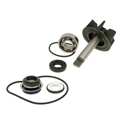 Réparation pompe à eau Burgman pour stopper les fuites de liquide