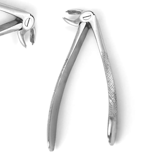 PC EXTRACTING Forceps #24 English Pattern Dental Instruments