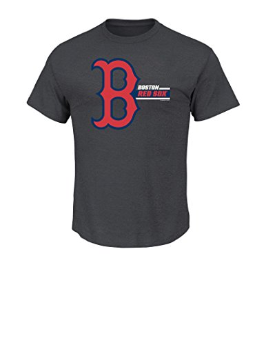 VF LSG MLB Boston Red Sox Men's This is My Team Tee, Large, Charcoal Heather