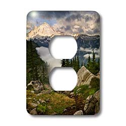 2 prises de courant Mt Baker pour masquer les plaques murales ternes
