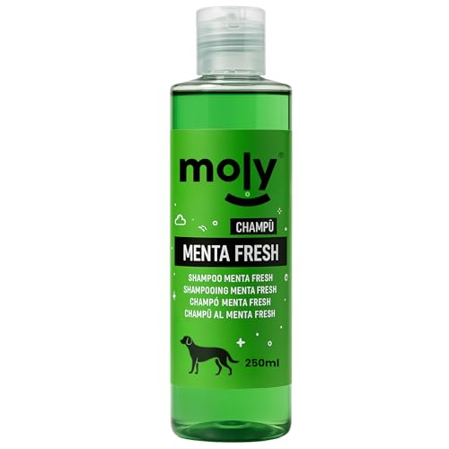 MOLY Champú para Perros Menta Fresh Antiparásitos 250 ml | Champu Concentrado Perros Protección Frente Pulgas, Garrapatas, Piojos y Mosquitos | Champú Olor Mentolado Adaptado al PH