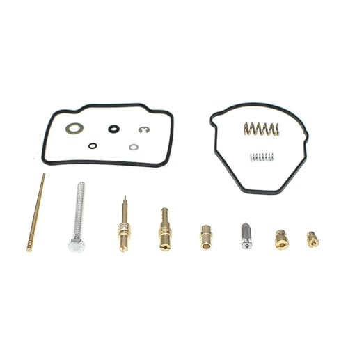 Kit réparation carburateur joint pointeau ATC250ES 250ES pièce rechange carburation