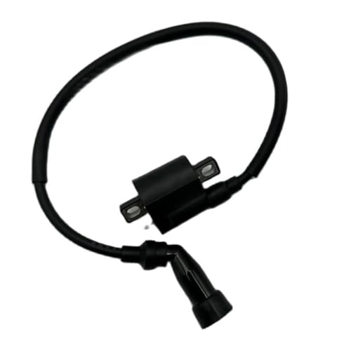 Bobina de encendido para ATV Wilderness Trail JS250 de 250 cc
