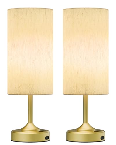 Cordless Lamp, 2-Pack, Dimmable, Ambient...