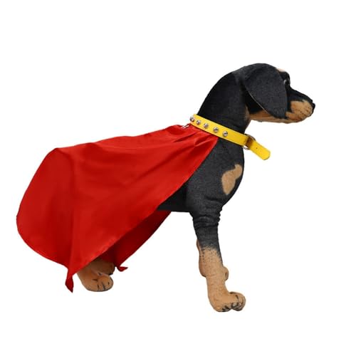 T[}AE^[EFA~pϋv|GXe@Sp[eB[RX`[ANZT[p[eB[p̑fGȃP[v