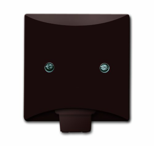 Preisvergleich Produktbild Busch-Jaeger 2133-31 Zentralscheibe