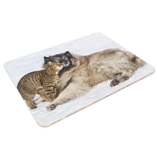 Set de table liège anti-rayure et tache - 4 napperons souples chien chat neige