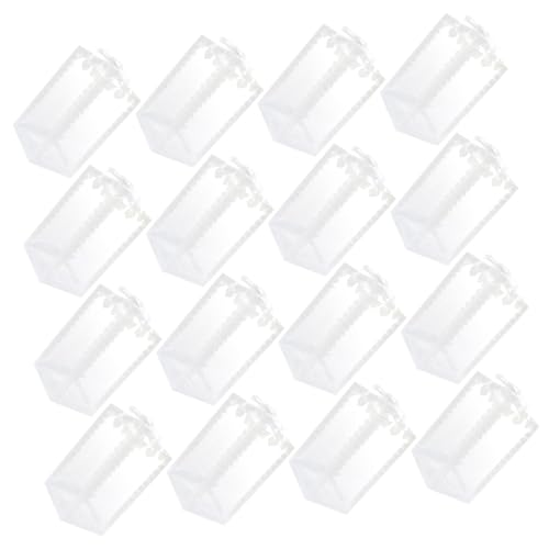 BELLIFFY 25 LfB{bNX  {bNX َq[e p[eB[  xr[V[ Hip  y RpNg