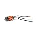 Spektrum Firma 2000Kv Brushless Marine Motor, SPMXMM1100