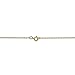 10k Gold Rope Chain Necklace with Spring Ring (0.4mm) - Yellow-Gold, 20 in