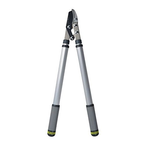 Burgon & BallRHS Endorsed Telescopic Handled Anvil Lopper, 68 cm - 100 cm Overall Length