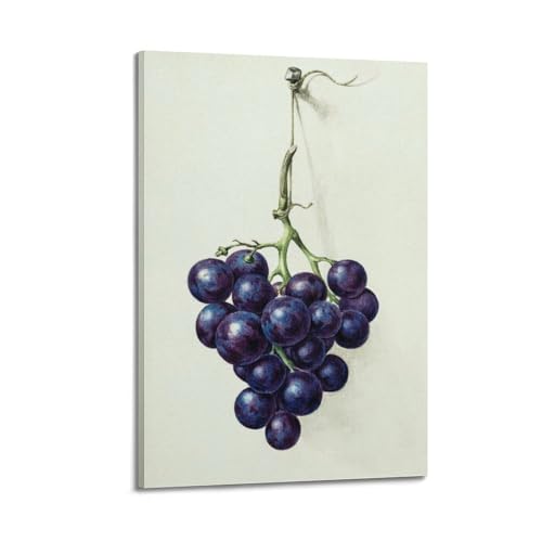 Poster grappe de raisin violet tableau moderne 20x30 cm JIDUHON
