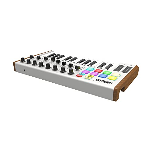 ノーブランド品 MIDI コントローラー MINI ウルトラポータブル 25 キー USB MIDI キーボードコントローラー の商品画像 7