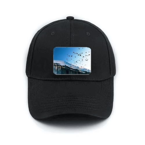 Casquette de baseball noire réglable avec motif maison d'oiseaux