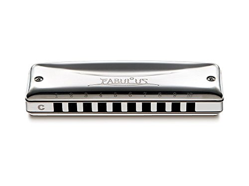 (未使用･未開封品)　SUZUKI スズキ 10穴ハーモニカ ファビュラスシリーズ F-20J C ar3p5n1 31Jl1iGVcgL.jpg