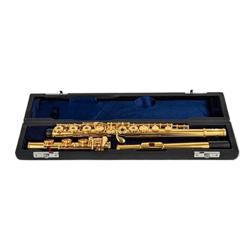 t[gZbg t[g vtFbVi CL[ 17 t[gy