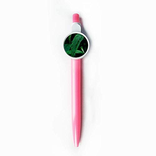 Stylo bille rétractable bleu feuillage plante nature, une idée cadeau poétique pour passionnés