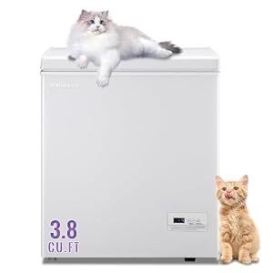 DEMULLER Deep Freezer 3.8Cu.ft with 2 Removable Basket and Manual Defrost Small Deep Freezer Quiet Operation Compressor Cooling Perfect for Homes, White