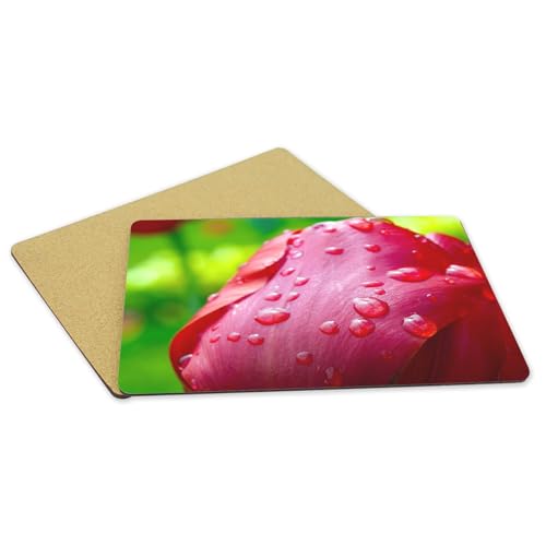 Sets de table napperons dessous en liège protègent vos meubles des taches