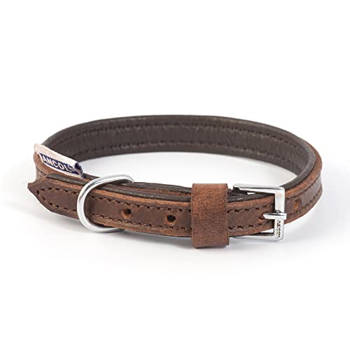 Ancol Heavy Duty Vintage Padded Leather Chestnut Collar Pet Training Accessory 26-31cm, Size 2