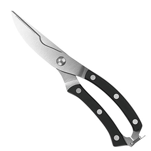 Best Lobster Shears