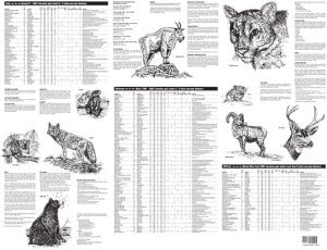 Wasatch Front Illustrated Hiking Map