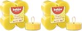 Bolsius True Citronella - Velas perfumadas Maxi - Citronela - 8 Unidades - Tiempo de Combustión 8 horas - Velas para Exteriores - Cera Vegetal Natural - Con Extractos Naturales - Sin Aceite de Palma