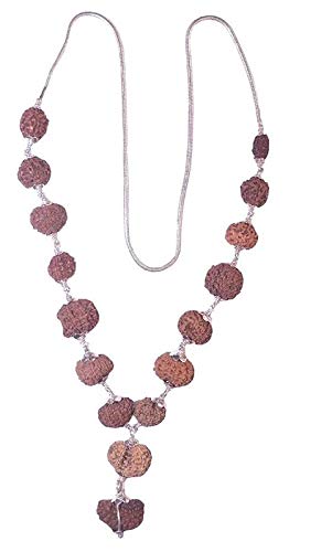 Retrend Design Sarva Siddha Mala Pure Silver Plated 1 to 14 Face Indonesia Rudraksha with Gouri Shanker & Ganesh