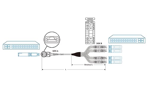 10Gtek Fiber Patch Cable - MTP to 8xLC OM3 50/125μm Multimode Fan-Out Fiber Jumper Patch Cord, 8-core Uniboot Breakout for 40G QSFP+ and 400G QSFP28 Transceivers, 15m(49.2-ft) by 10Gtek - Used condition - Image 6