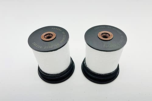 Filtre à carburant Jeep Cherokee KL 2.0 CRD 2014-2017 Lot de 2