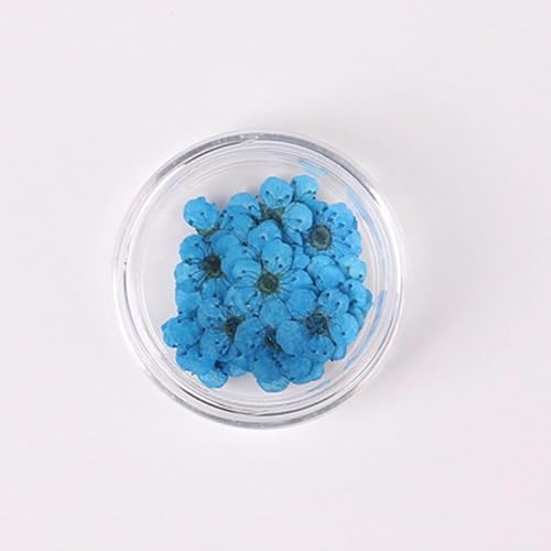 100 flores secas prensadas de narciso para arte en uñas miniatura 1