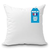 Algopix Similar Product 8 - Foamily Throw Pillow Insert 18 x 18
