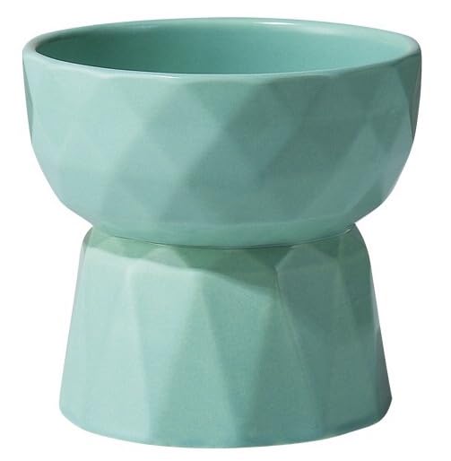 Image of PETANGEL Cat Ceramic Eelevated Anti Vomiting Pet Food Bowl (Pack Of 1 (Oval Mint Green)),?12.5 cm,H 11.5 cm,W 11.5 cm