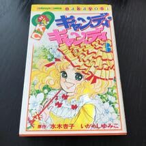 小説　キャンディキャンディ　いがらしゆみこ　水木杏子　全3巻 楽天市場】キャンディキャンディ 3巻 講談社 水木杏子