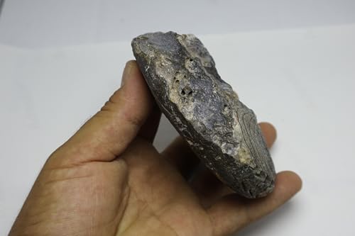 Image of Ammonite Cretaceous Fossils Fossils from Morocco Fossil Rock ammonites Fossil from Morocco A299