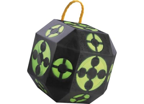 Rinehart 18-1 Archery Target | 18-Sided...