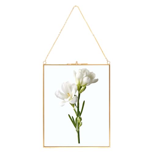 ZOFUN Cadre Photo en Verre Transparent 20x25 cm, Petit Cadre Photo Double Face en Cuivre Doré Antirouille pour Spécimen de Plante, Cadre Mural Flottant avec...