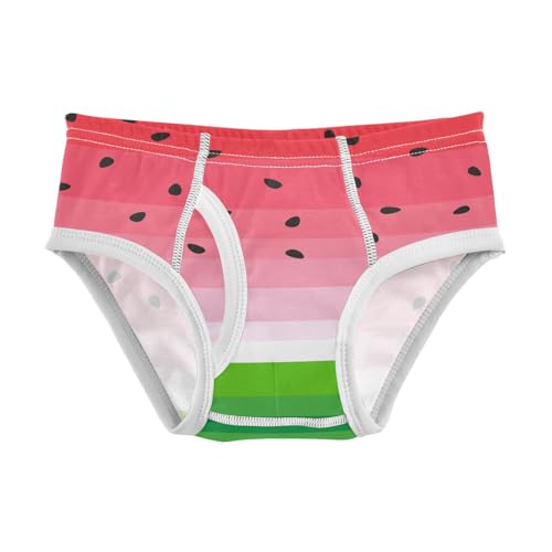 visesunny Boys Cotton Underwear Watermelon Slice Printed Toddler Soft Training Briefs Size 2T-8Y for Kids