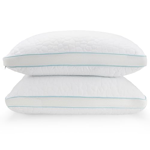 Shredded Memory Foam Pillows 2 Pack Adjustable Firmness Bed Pillows with Bamboo Rayon Cover Medium Firm Support Breathable & Machine Washable for Side Back & Stomach Sleepers (70 x 45cm)