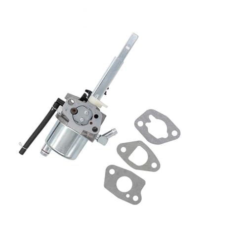 Carburateur 436565 pour souffleuse à neige Poulan Pro 585020402