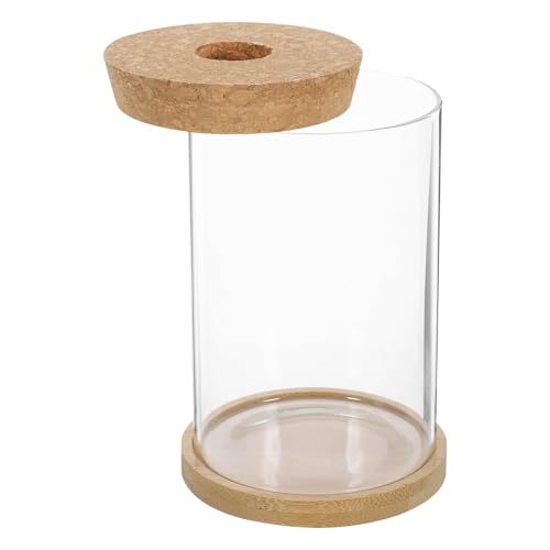 NUOBESTY Jarrón de Cristal Transparente para Suculentas Florero Hidropónico de 10X15 CM Tapón de Corcho Perforado y Soporte de Bambú Recipiente Decorativo para Plantas de Interior y