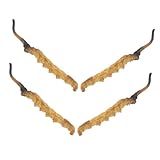 Warmhm 4stücke Cordyceps-Modell Für Traditionelle Medizingeschäfte Requisiten Für Chinesische Medizinläden Künstliche Medizinische Substanzen Für Play Doctor Kit Auslagen Für
