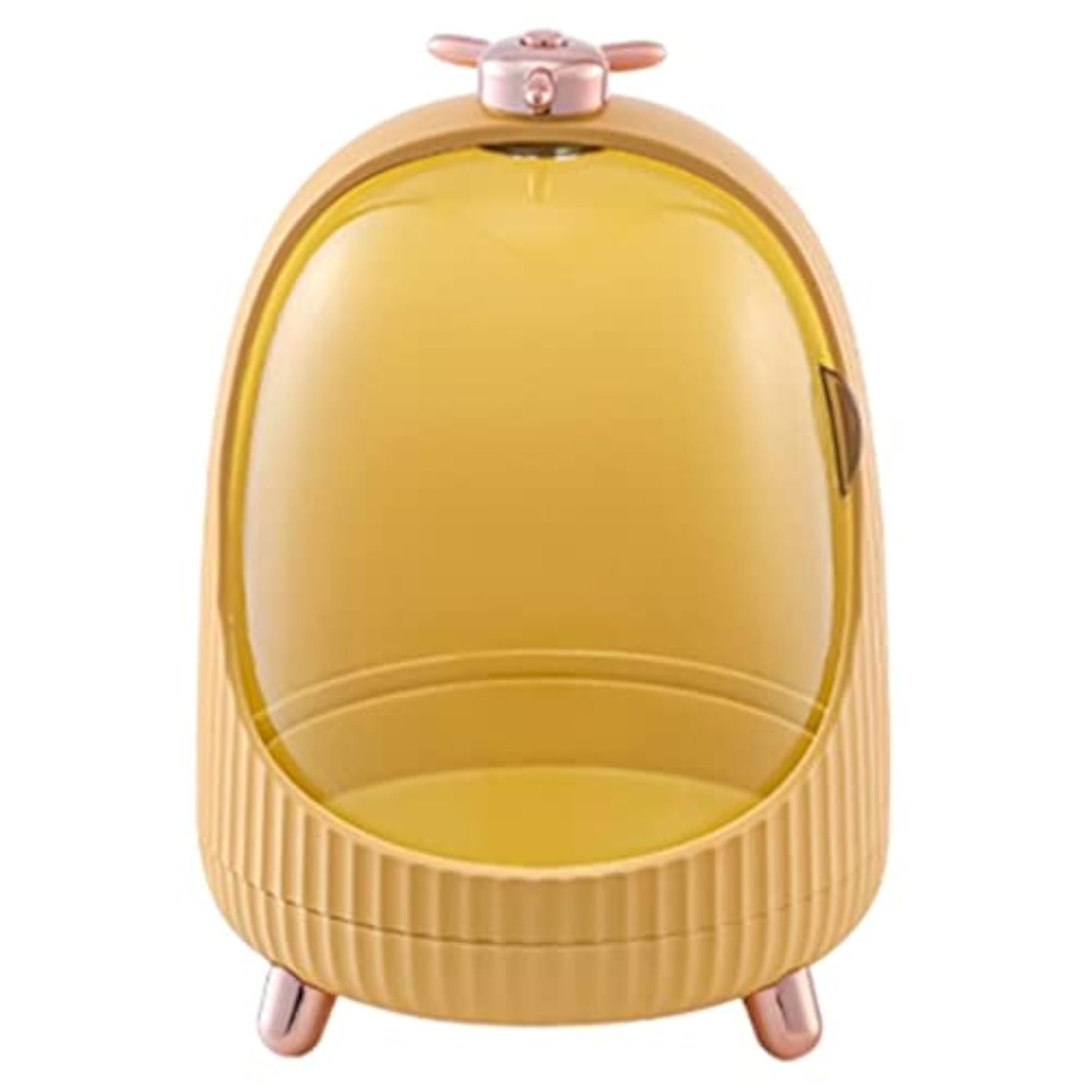 Dustproof Makeup Container with LED Light